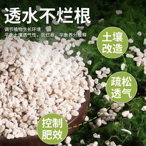 珍珠岩无尘大颗粒蛭石扦插养花用多肉育苗兰花专用植料营养土园艺 - 图1