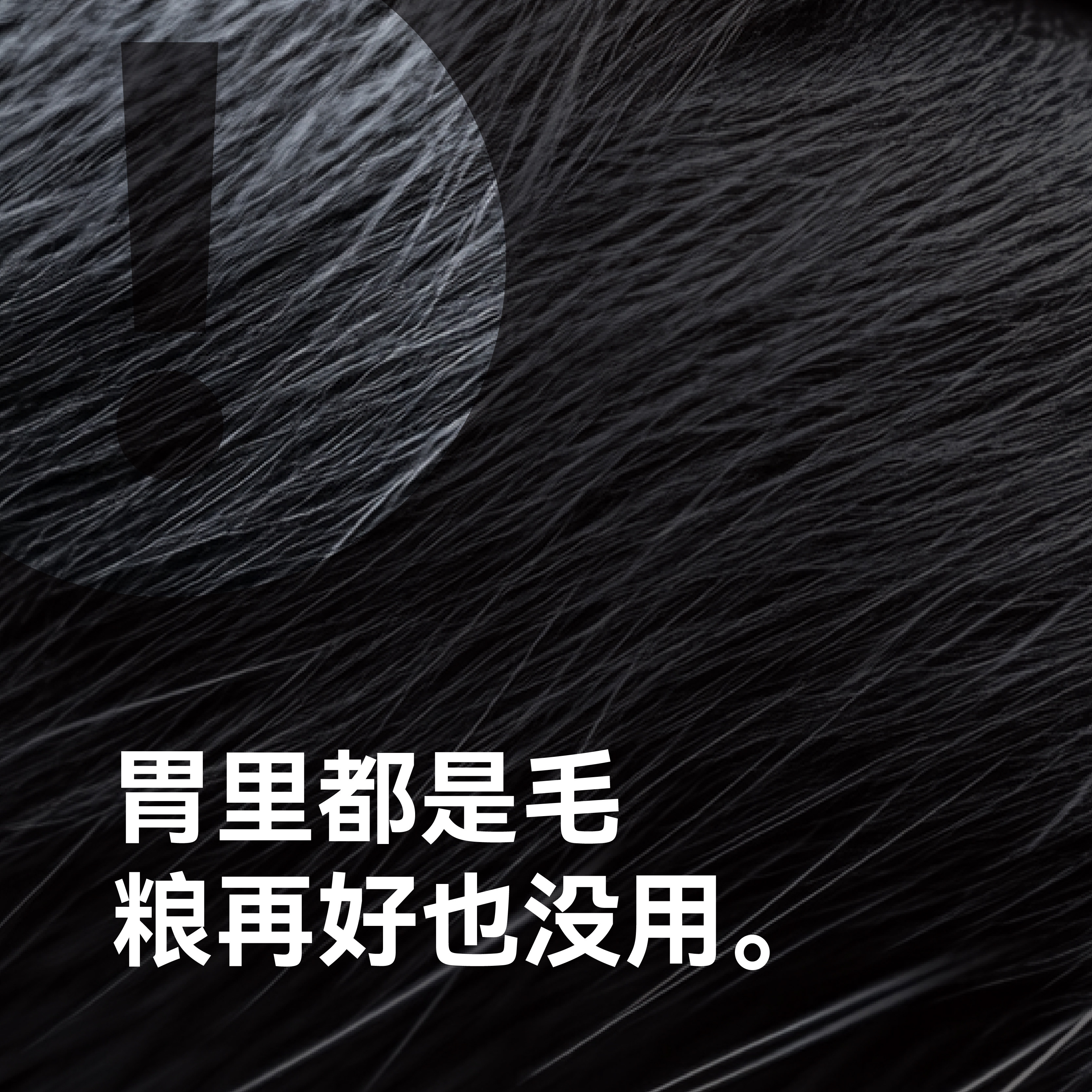 【U先超市】万物一口Pro化毛球冻干烘焙粮试吃装50g*1包,淘宝优惠券,粉丝福利购,淘宝优惠卷