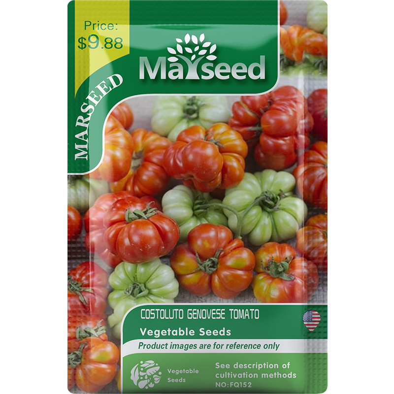 【MARSEED火星家】传家宝科斯塔热那亚马蹄大番茄种子秧苗盆栽 - 图3