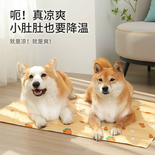 Подушка для собак в летних охлаждающих кошках в летних ковриках летом, собачьего гнезда, кусая собачья подушка для домашних животных сна