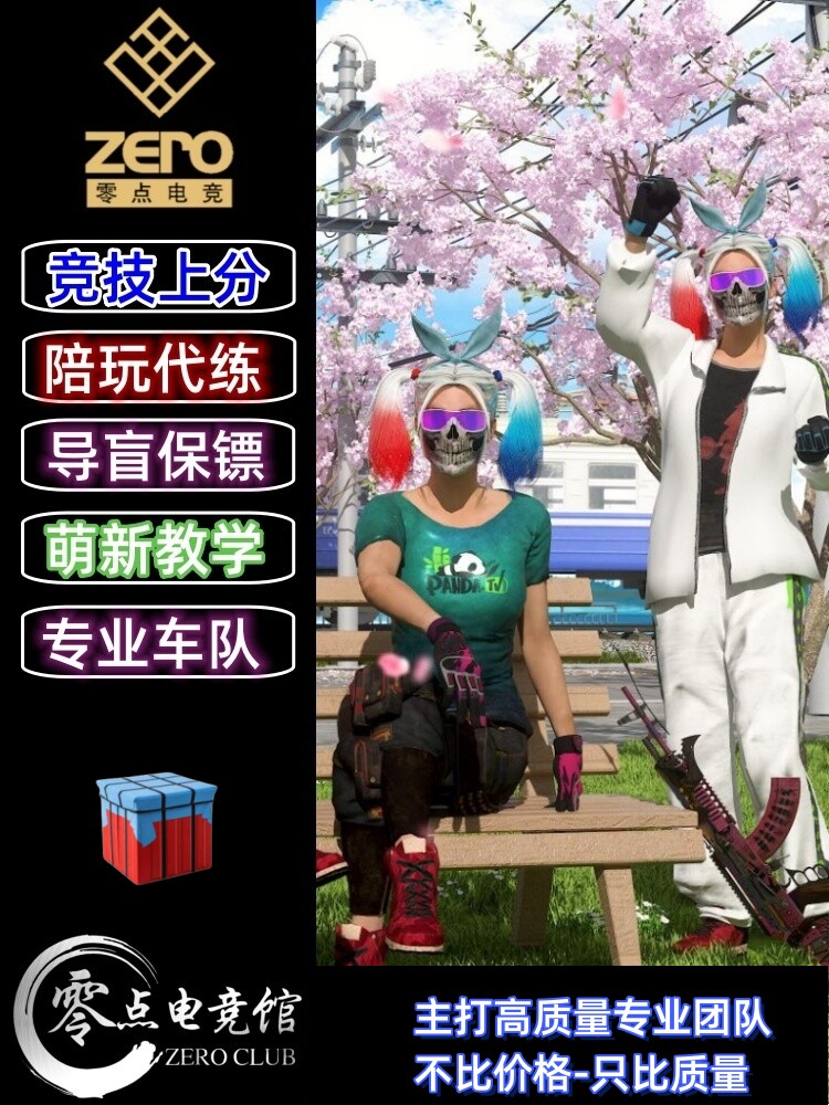 梦幻西游答题器绝地求生陪玩PUBG陪玩吃鸡陪玩代练竞技排位上分导盲犬定位赛车队