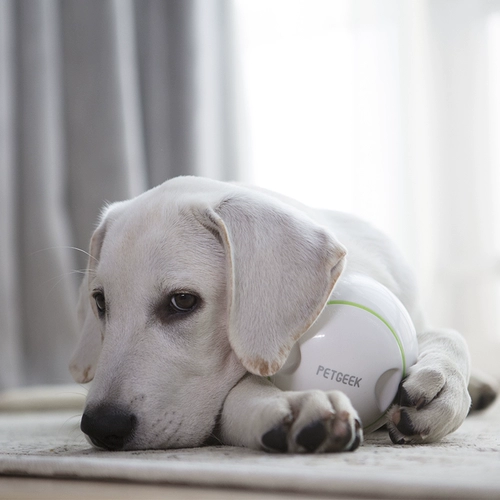 Гигви - игрушечная игрушка для собак, электрическая интеллектуальная утечка пищевая головоломка, головоломка непревзойденная артефакт катание на утечке домашних животных