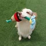 [Love Pet Dress] Gigwi-это собачный цветок-букет (только дисплей)