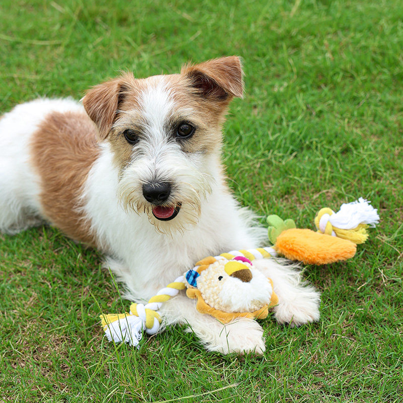 Guiwei dog toys are resistant to chewing and grinding teeth, which consumes physical energy