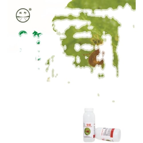 顺丰速运~智利小植绥螨   天敌防控   红蜘蛛 - 图3