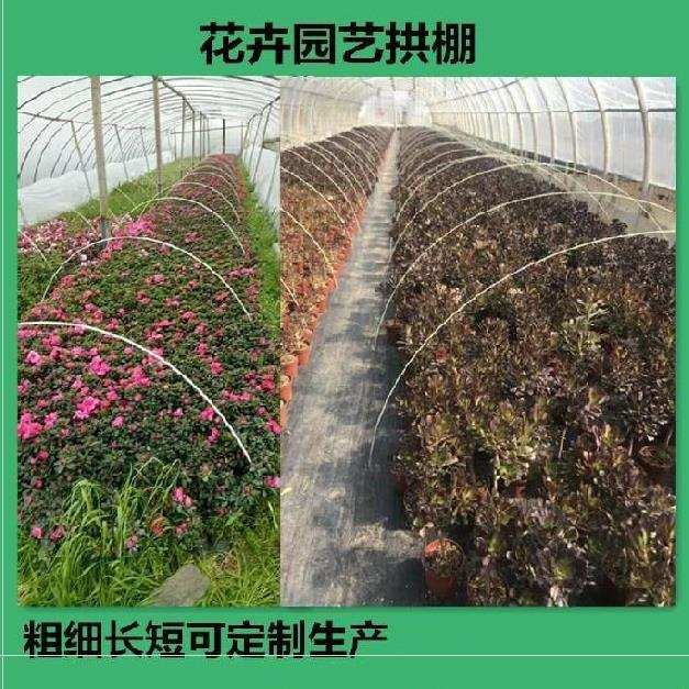 园艺支架菜地拱杆网架遮阳插秧耐用种菜四季菜园子支撑架暖棚栽培