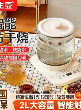 养生壶家用大容量多功能煎药壶