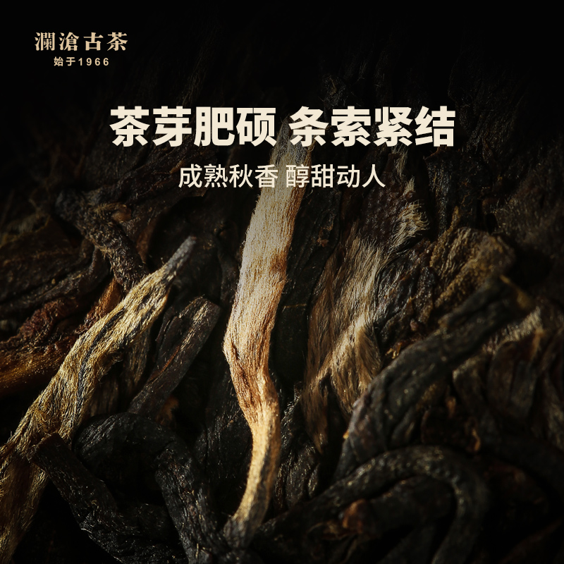 【品牌直营】澜沧古茶古树秋香2016普洱茶生茶饼景迈古树秋茶250g - 图0