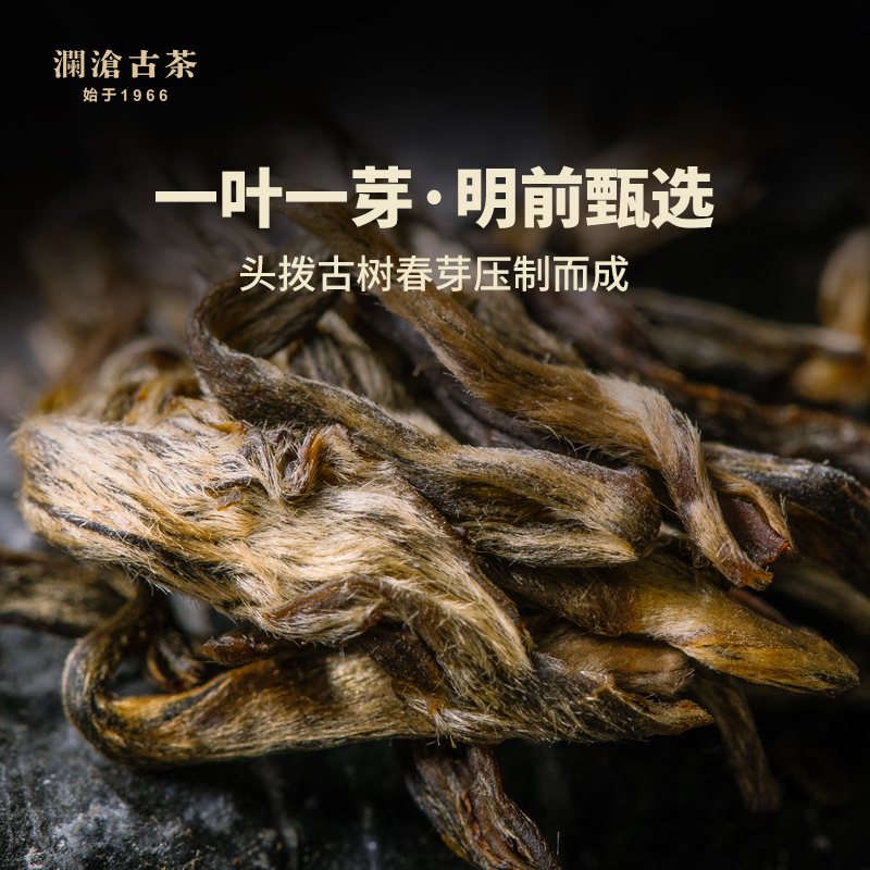 【顺丰】澜沧古茶2019年001小沱景迈古树云南普洱茶生茶100g沱茶