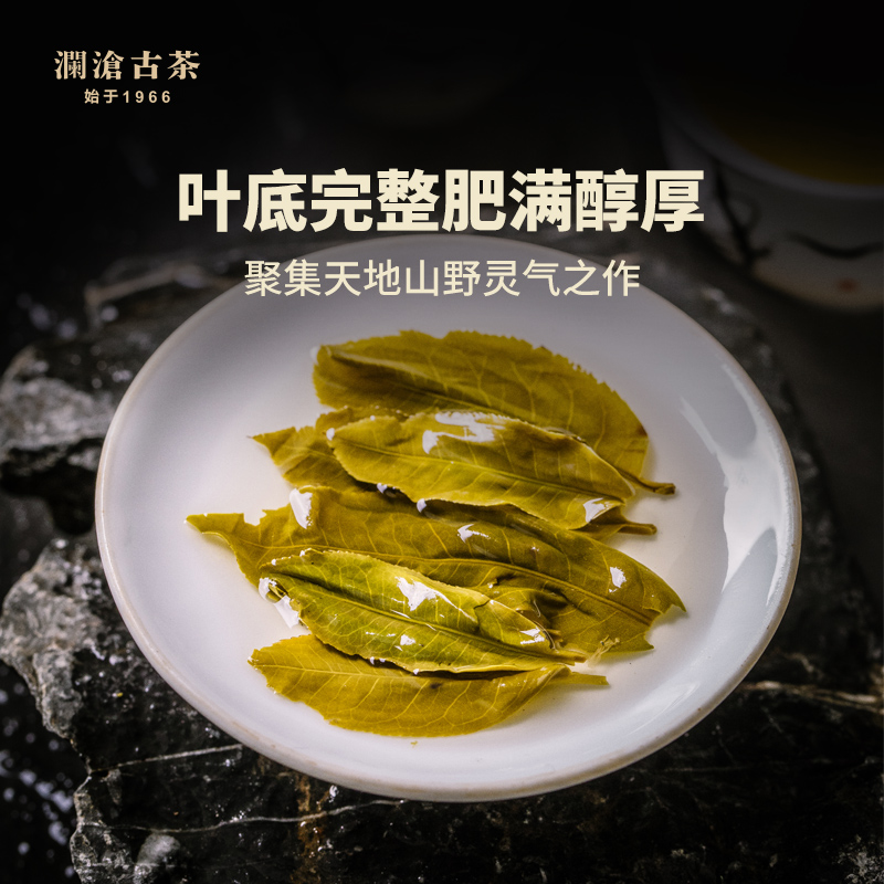 【顺丰】澜沧古茶2019年001小沱景迈古树云南普洱茶生茶100g沱茶