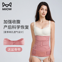 Cat person postpartum closeup with maternal special caesarean birth cis-prolific lunar-born child closets with abdominal bondage belt slim fit plastic type