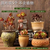 Полихид горшок керамика Большое специальное предложение оформление.