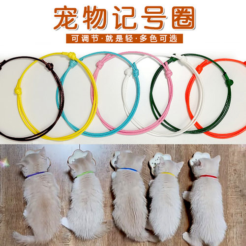 幼猫咪幼犬记号圈手工编织识别带可调节挂绳铃铛宠物新生狗狗项圈 - 图0