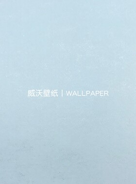 美绮 SPLENDOR帛美54 全屋贴无缝壁布ZT483222 ZT483223 ZT483224