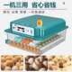 Incubator ຄົວເຮືອນຂະຫນາດນ້ອຍ