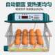 Incubator ຄົວເຮືອນຂະຫນາດນ້ອຍ