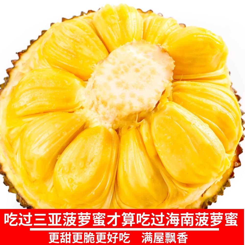 果娇芳旗舰店海南三亚菠萝蜜当季新鲜水果包邮一整个大树波罗蜜非越南泰国红肉1