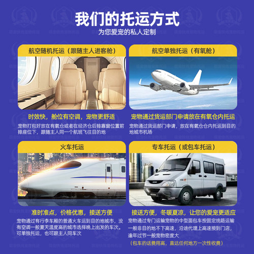 国内国际宠物托运港澳台宠物托运专线 - 图0