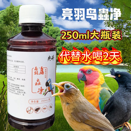 画眉鹦鹉鸟类体内体外亮羽鸟蟲净 - 图2