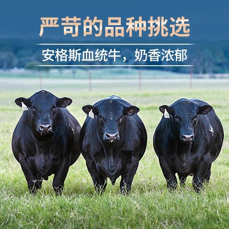 MQA 精道 原肉整切黑安格斯西冷牛排 130g*10块 天猫优惠券折后¥158顺丰包邮(¥248-90) 菲力牛排、眼肉牛排可选 赠黑胡椒碎*10包+刀叉组合*1副