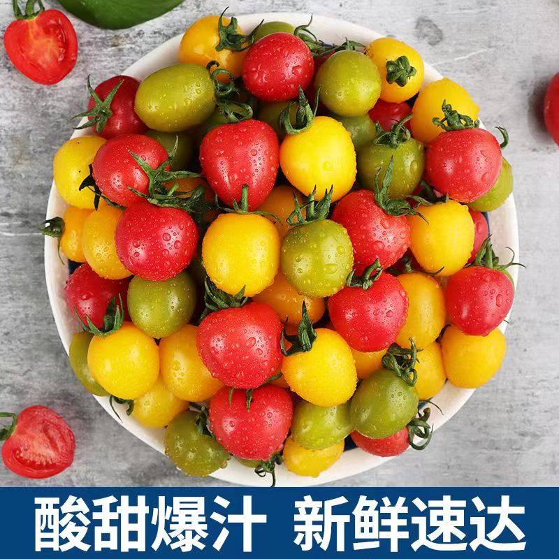 圣女果彩色小番茄新鲜水果生吃现摘黄色绿迷彩红色3色5斤樱桃千禧,淘宝优惠券,粉丝福利购,淘宝优惠卷