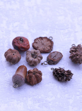 天然干果实花片吊坠耳饰项链