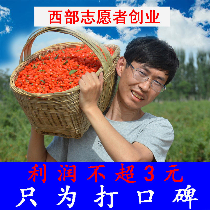 正宗宁夏原生态红枸杞子头茬大颗粒 鲜颗枸杞