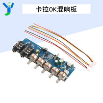 PT2399 karaoke reverberation board KTV microphone front level enlarged board single power DC 12V built-in boost