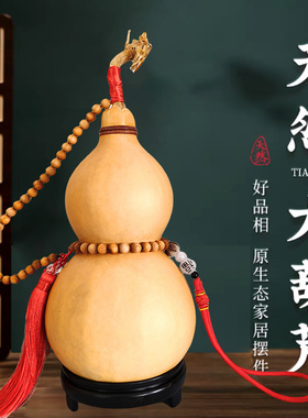天然葫芦挂件带龙头五帝钱家居客厅玄关桌面文玩特大号真葫芦摆件