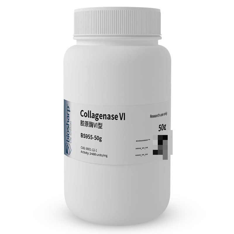 白鲨 BS955-100mg/1/10/50/100g胶原酶VI型Collagenase VI 2-8度-图2