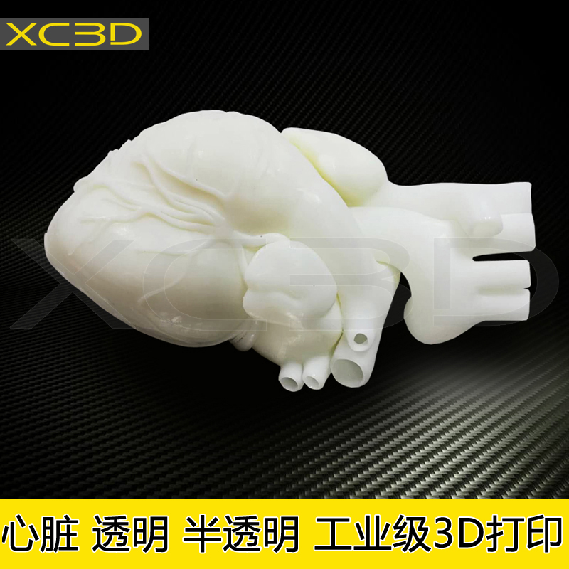 3d打印医疗透明水晶心脏模型左心房右心脏肝脏肾脏胃部医学定制-图3