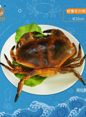 新款仿真食品模型海鲜龙虾大闸蟹青蟹面包蟹梳子蟹样品摄影道具