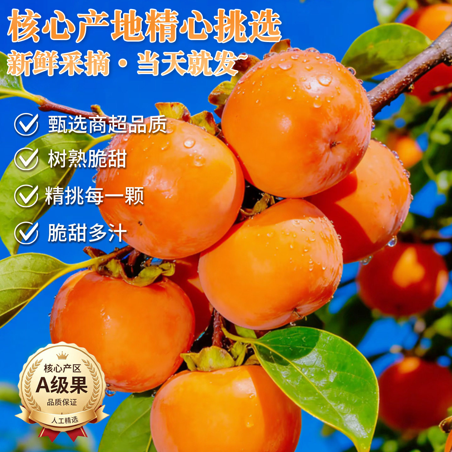图 4