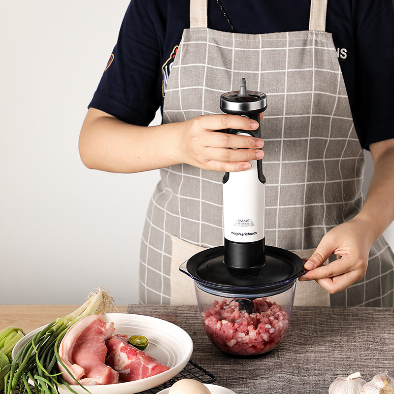 英国摩飞mr6006多功能小型料理机 摩飞电器千好搅拌/料理机