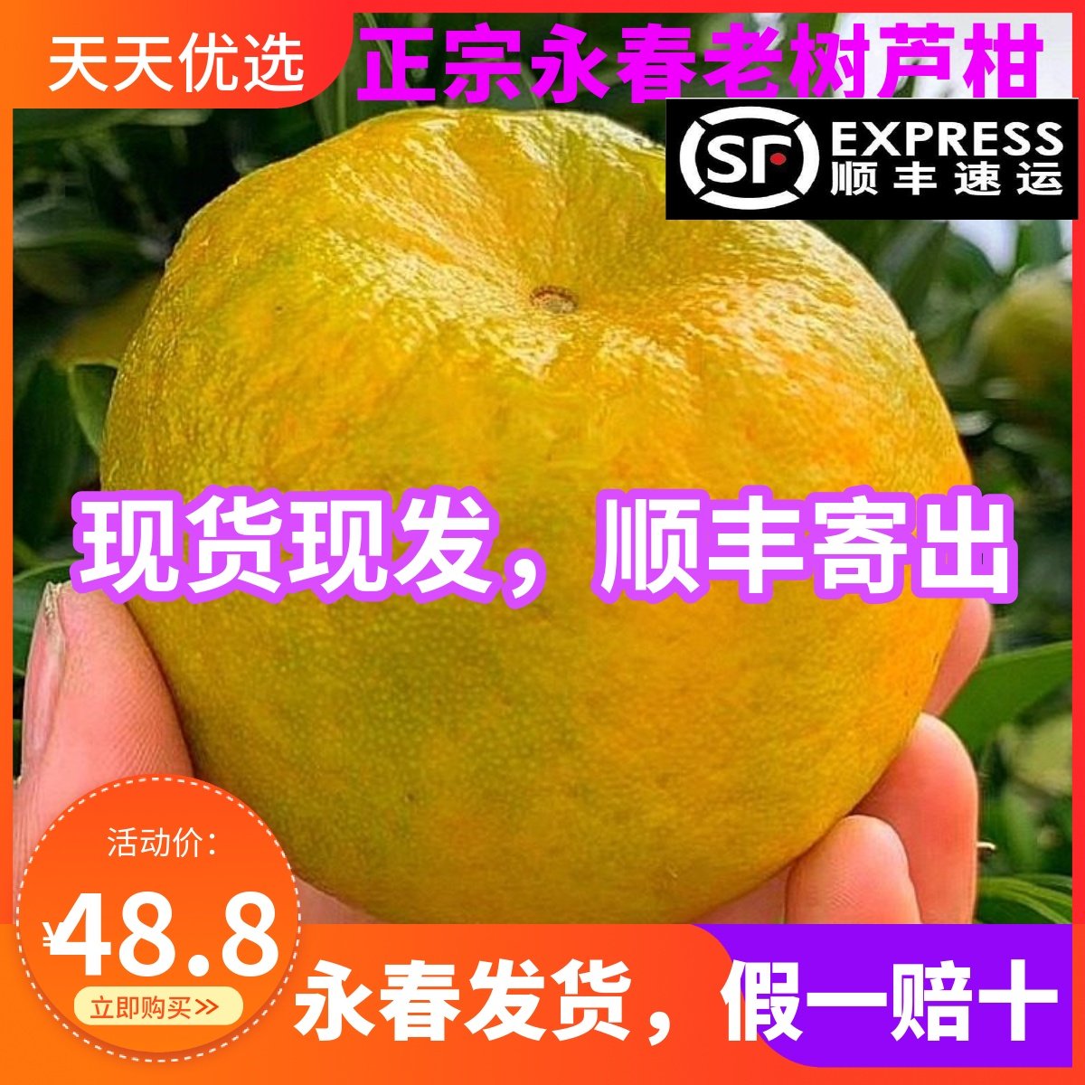 顺丰正宗福建永春芦柑老树椪柑特大果孕妇水果新鲜现发10斤装,淘宝优惠券,粉丝福利购,淘宝优惠卷