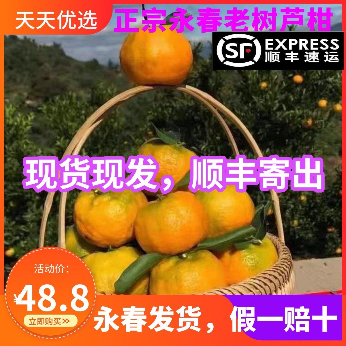 顺丰正宗福建永春芦柑老树椪柑特大果孕妇水果新鲜现发10斤装,淘宝优惠券,粉丝福利购,淘宝优惠卷