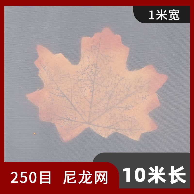 尼龙网滤布网纱油漆过滤网筛网过滤网布尼龙网100目200目300目500 - 图1