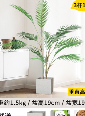 北欧仿真绿植散尾葵盆景室内客厅假树凤尾葵类植物仿生造景装饰品