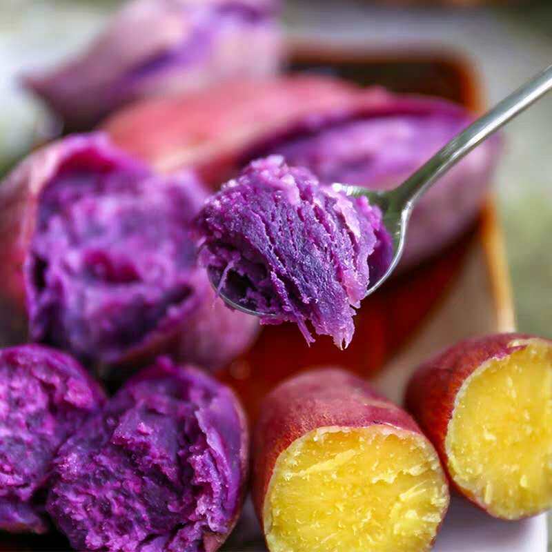 新鲜现挖小紫薯5斤10小红薯烤地瓜 喜知滋番薯