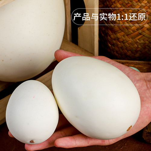 仿真鸡蛋模型假鸭蛋鹅蛋鸵鸟恐龙蛋鹌鹑蛋DIY绘画复活蛋摄影道具 - 图1
