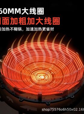 5000W Induction Cooker with Concave Surface, High Power, Int