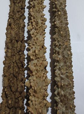 花椒树木棍按摩棒野生花椒木手棍按摩花椒木原木纯天然