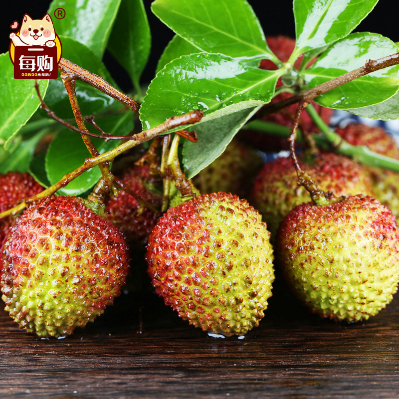 晨洁旗舰店海南妃子笑荔枝广东茂名现摘5斤孕妇当季新鲜水果包邮2
