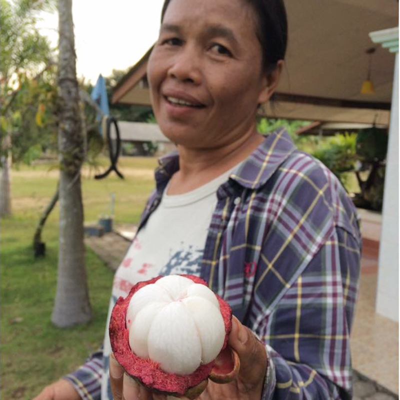 晨洁旗舰店山竹新鲜水果包邮泰国进口山足当季5斤整箱孕妇热带特产1