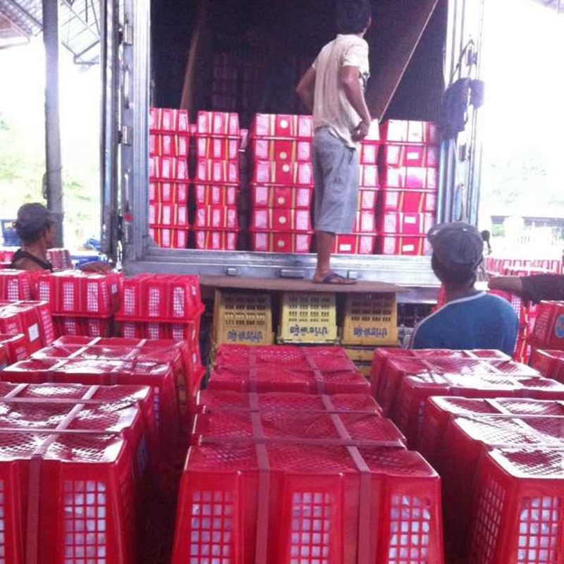 晨洁旗舰店山竹新鲜水果包邮泰国进口山足当季5斤整箱孕妇热带特产3