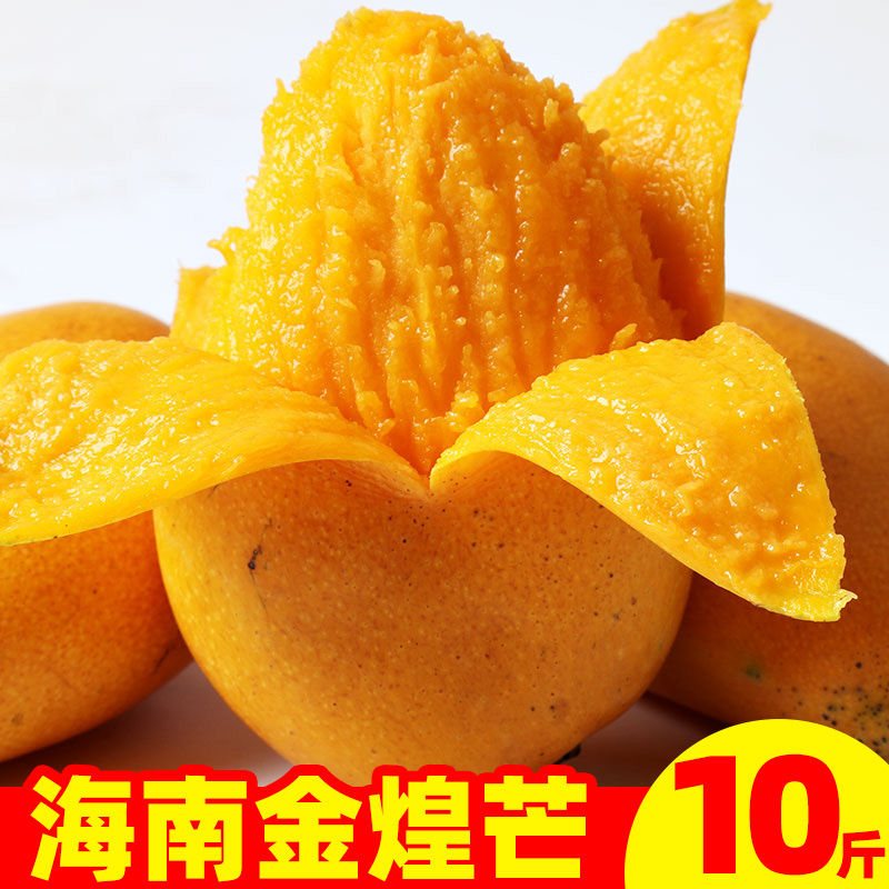 晨洁旗舰店海南金煌芒整箱10斤装新鲜当季应季芒果特大果青果水果小核金黄芒2