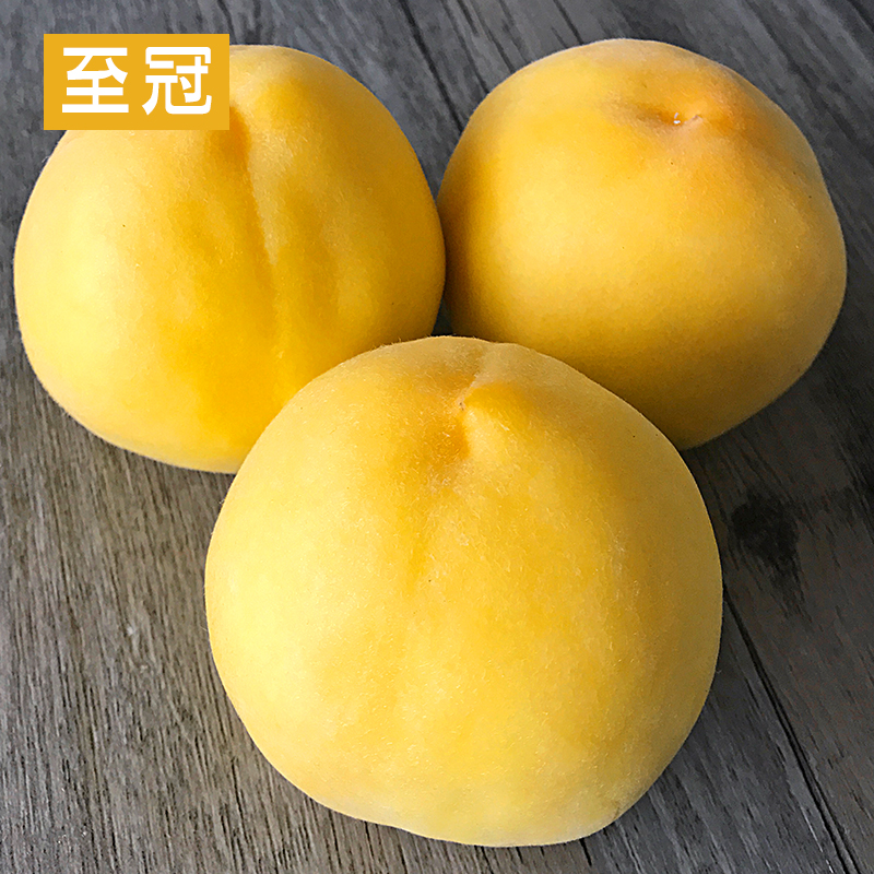晨洁旗舰店山东蒙阴黄桃5斤锦绣黄肉黄心桃子砀山当季新鲜孕妇水果现摘包邮2