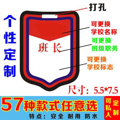 小组长牌值日生袖章值日班长袖标小学生班干部徽章领读员挂牌定制 - 图3
