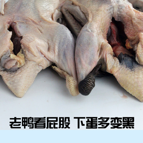 三年老鸭子生态放养现杀洪湖整鸭水鸭农家散养 老鸭汤 土鸭麻鸭 - 图1