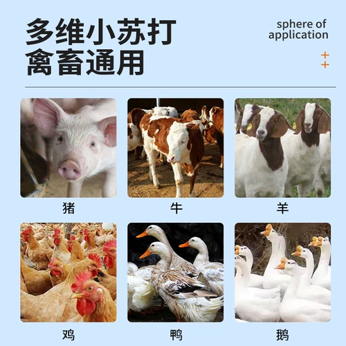 Мультимерные содовые звери с витаминной свининой, цыплятами, уткой и гусиной говядиной и овцами, стоящими на добавках бикарбонатных бикарбонат натрия